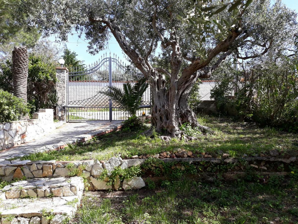 Villa Belvedere Michelle Trappeto  Esterno foto
